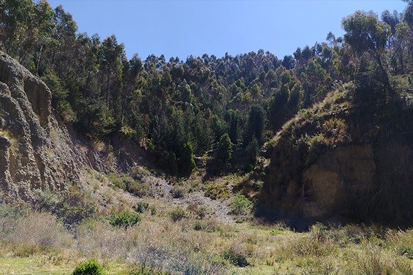 whatsapp image 2025 09 25 at 1.45.39 am